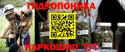 МДМА Можга
