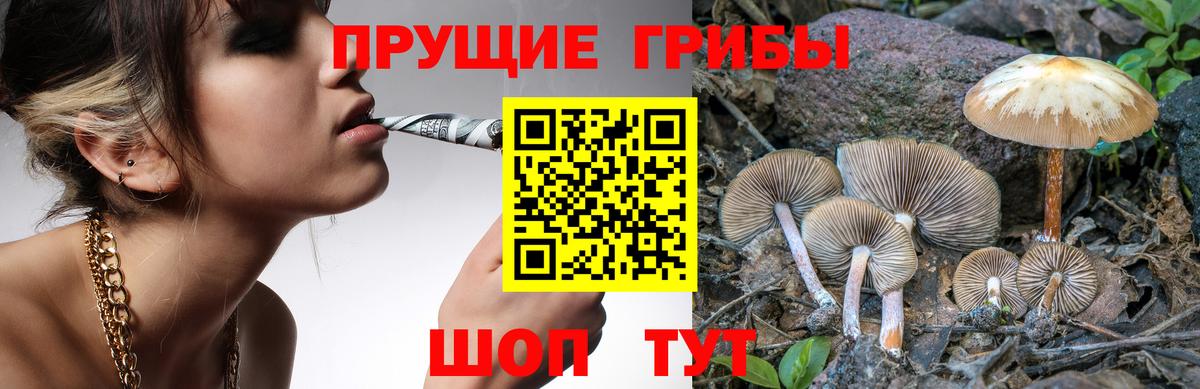 Щёлково  Галлюциногенные грибы ЛСД  Вход с VPN 